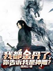 我都金丹了，你告诉我是神鵰？