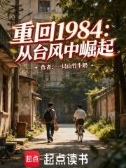 重回1984：从颱风中崛起