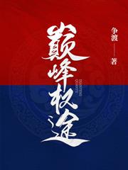 权力巅峰：从省府秘书开始