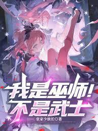 我是巫师！不是武士！