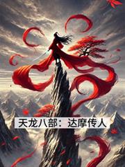 天龙八部：达摩传人