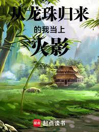 从龙珠归来的我当上火影