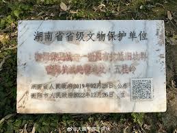 我的异常调查报告