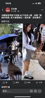 华娱：从和台妹同居开始