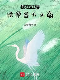 我在红楼当大文豪