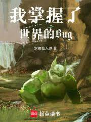 我掌握了世界的Bug
