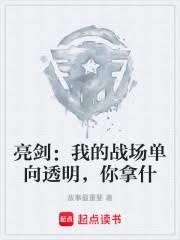 亮剑：我的战场单向透明