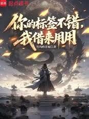 你的标籤不错，我借来用用