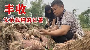 別再苟了，勇者大人！