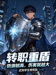 转职重盾：防御越高，伤害就越大