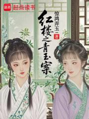 红楼：金釵请自重，我是搜查官