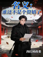 名义：谁还不是个赘婿了