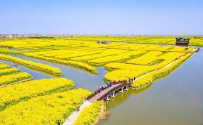 港娱，香江我最帅