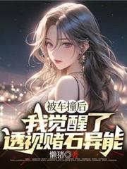 被车撞后，我觉醒了透视赌石异能