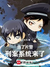 当了片警，刑案系统来了