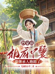 抄家前，相府丫鬟带继承人跑路了