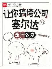 让你搞垮公司，塞尔达是什么鬼？