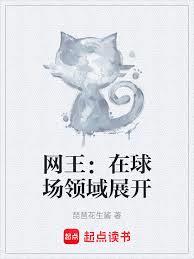 网王：在球场领域展开