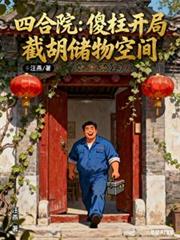 四合院：傻柱开局截胡储物空间