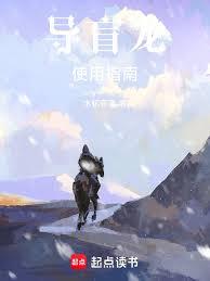 导盲龙使用指南