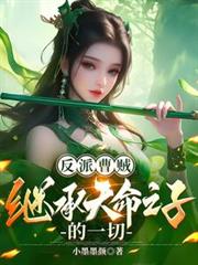 反派曹贼：继承天命之子的一切