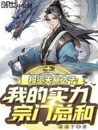 投资天命之子，我的实力宗门总和