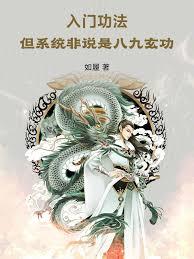 入门功法，但系统非说是八九玄功