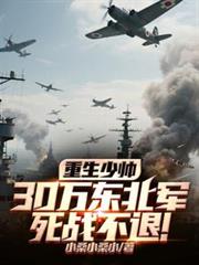 重生少帅，30w东北军死战不退
