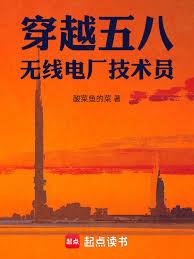穿越五八，无线电厂技术员