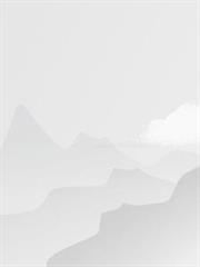 武小胜的第4本书