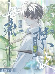 婚后上瘾，禁欲大佬超宠的！