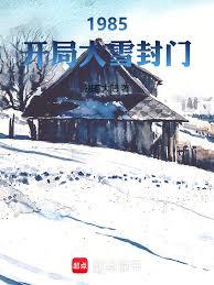 1985：开局大雪封门