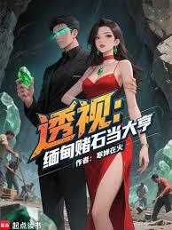 鉴宝：从透视原石开始