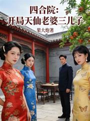 四合院：开局天仙老婆三儿子