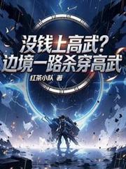 没钱上武大？边境一路杀穿高武
