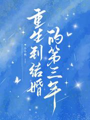 重生到结婚的第三年