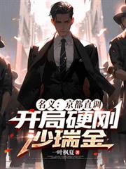 名义：京都直调，开局硬刚沙瑞金