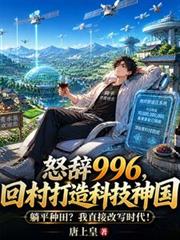怒辞996，回村打造科技神国