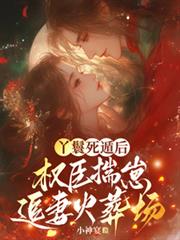 丫鬟死遁后，权臣揣崽追妻火葬场