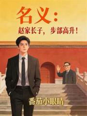 名义：赵家长子，步步高升！