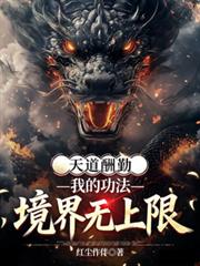 天道酬勤，我的功法境界无上限