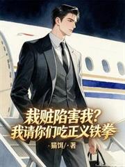 栽赃陷害我？我请你们吃正义铁拳