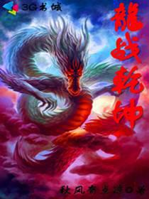 龙战乾坤