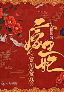 二嫁王妃之繁华错落有序