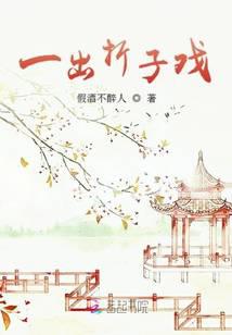 一出折子戏