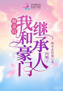 相亲后，我和豪门继承人闪婚了