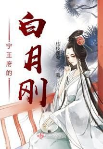 宁王府的白月刚