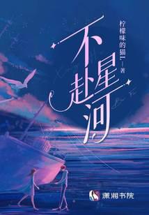 不赴星河