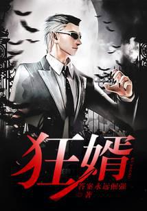 狂婿