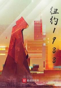 纽约1988